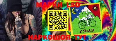 крисы Абакан
