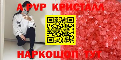 крисы Абакан