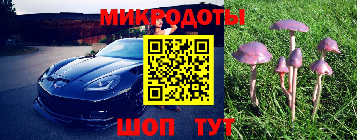 Псилоцибиновые грибы мицелий Орск