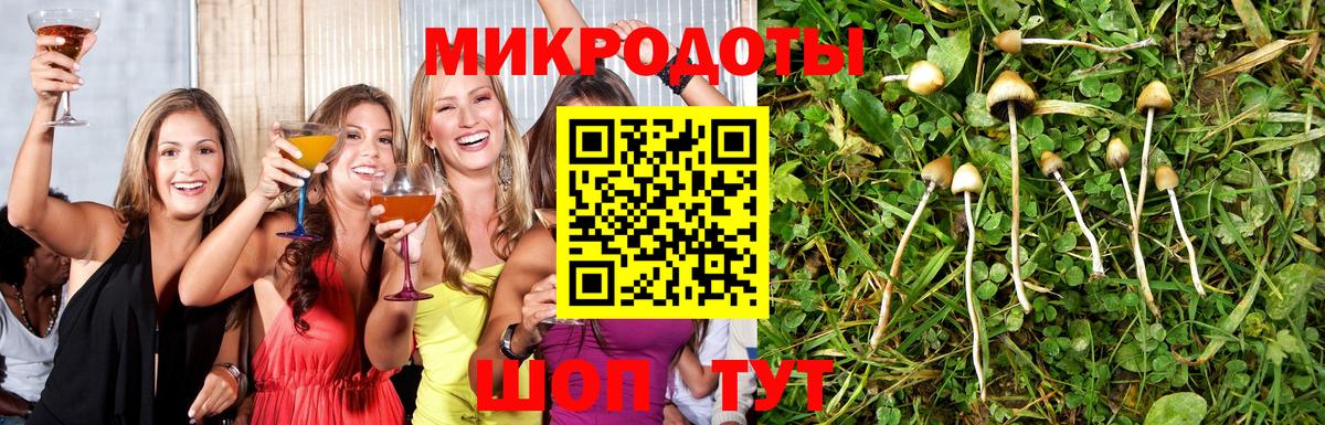 Галлюциногенные грибы Magic Shrooms Орск