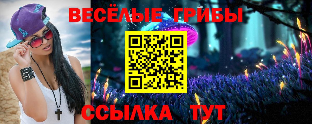 Псилоцибиновые грибы мицелий  Орск  Псилоцибиновые грибы GOLDEN TEACHER 