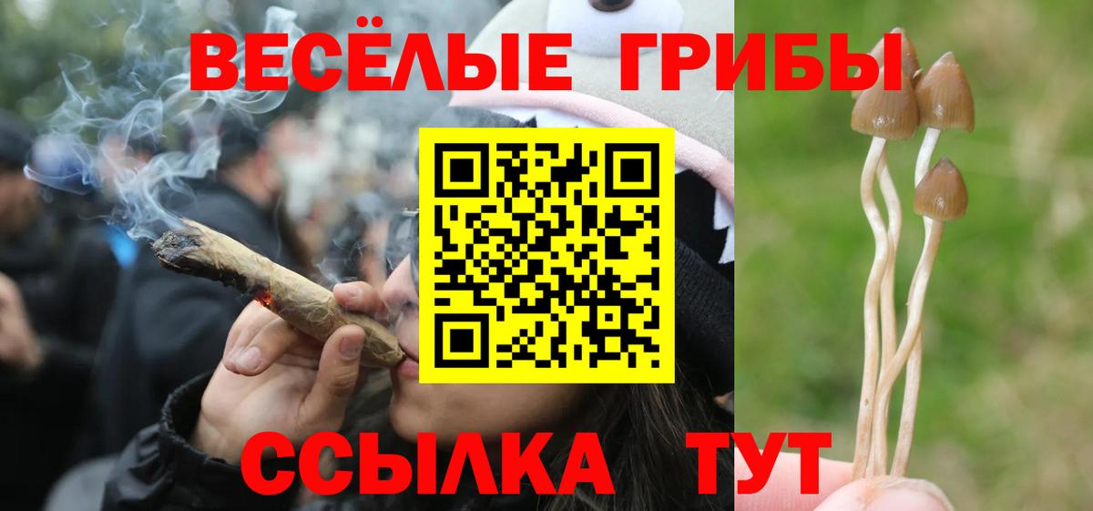 купить  сайты  Вход с VPN  Псилоцибиновые грибы Psilocybe  Орск  Галлюциногенные грибы мицелий 