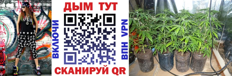 дарнет шоп  Орск  МАРИХУАНА VHQ 